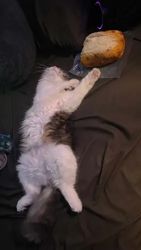 31819